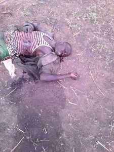 Picture of a dead Mure Cattle Rustler