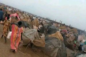 SSPDF Conducts Artillery Attack on Burebiey, Ethiopia, Resulting in Civilian Casualties