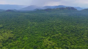 The Anywaa Biosphere