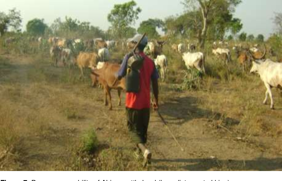 Anyuak Terrorists attacked Makot Kebele, rustled cattle.
