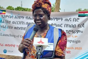 Alemitu Versus Alemitu: Who Changed, The Woman or the Message?
