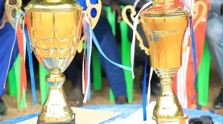 Conclusion of the Gambella City: 01 Kebele Football Tournament