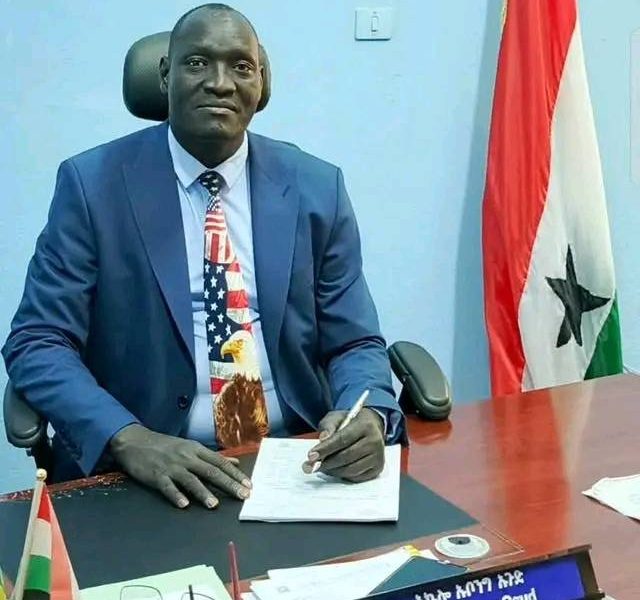 Regional Security Bureau Deputy Chief Dismissed Amid Rising Insecurity