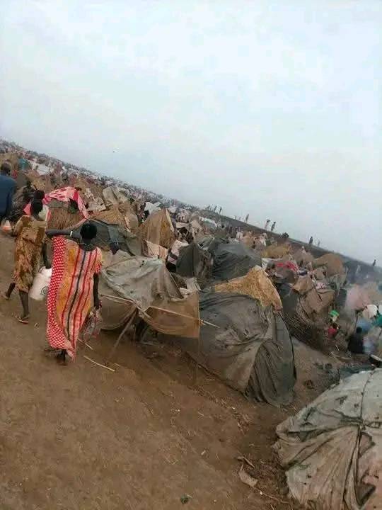 SSPDF Conducts Artillery Attack on Burebiey, Ethiopia, Resulting in Civilian Casualties