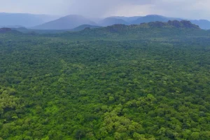 The Anywaa Biosphere Reserve: Land Appropriation in the Shadow of Silence.