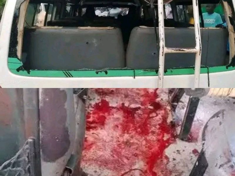 Gambella: Deadly Bus Attack in Gambella Highlights Growing Insecurity in the Region