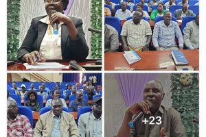 Mrs President, Alemitu is either naïve or a racketeer for criminals