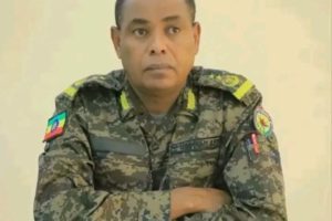 Grand Resort, the Biggest Hotel and the tallest building in Gambella Comes Under Deadly Armed Attack