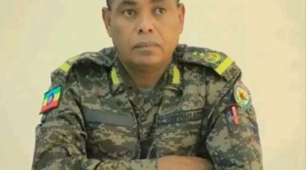 Grand Resort, the Biggest Hotel and the tallest building in Gambella Comes Under Deadly Armed Attack