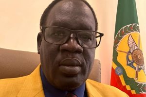 The Role of Nuer MPs in Worsening the Gambella Crisis