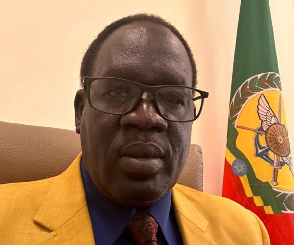 The Role of Nuer MPs in Worsening the Gambella Crisis