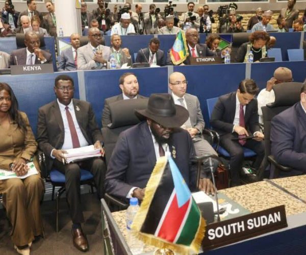 The analysis of the 39th AU summit and the new position of the African Union’s High-Level Ad Hoc Committee