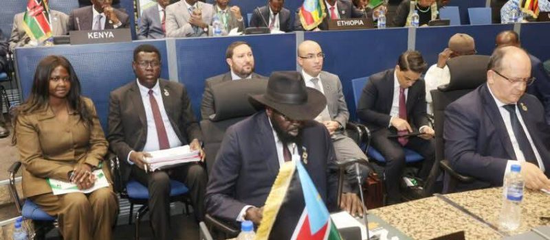 The analysis of the 39th AU summit and the new position of the African Union’s High-Level Ad Hoc Committee