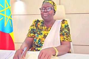 The Case of Gambella: What should Nuer in Gambella do for Anywaa to stop attacking them?