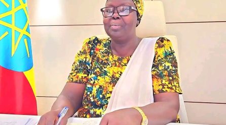 The Case of Gambella: What should Nuer in Gambella do for Anywaa to stop attacking them?