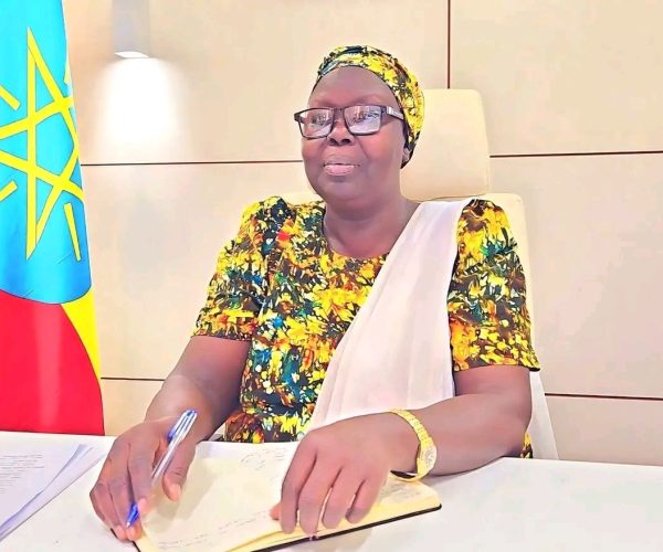 The Case of Gambella: What should Nuer in Gambella do for Anywaa to stop attacking them?