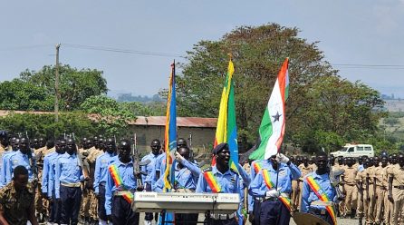 Violence in Gambella: A Systemic Failure