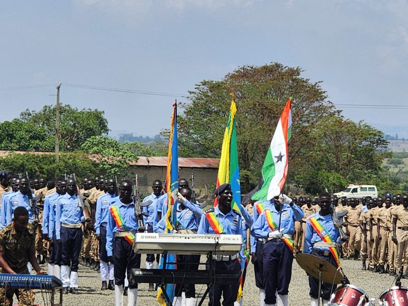 Violence in Gambella: A Systemic Failure