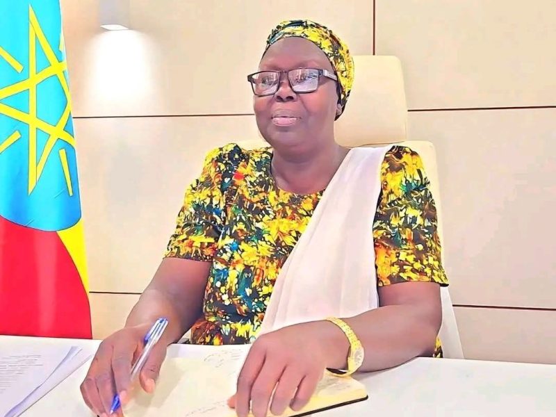 Over Her Own Failures, President Alemitu Umod Arrests Nuer Politicians and Local Residents: