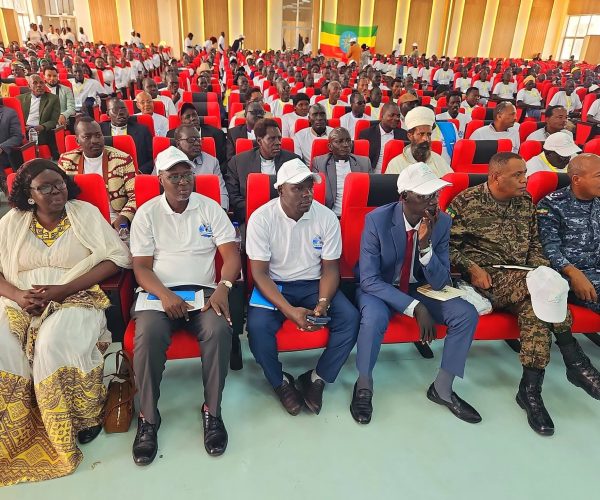 Reflection on the Peace Conference in Gambella