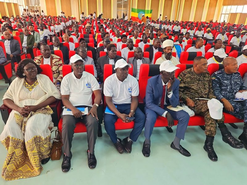 Reflection on the Peace Conference in Gambella