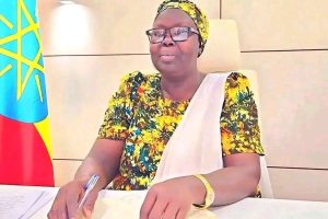 Gambella Sinks Deeper Into Crisis as Insecurity, Corruption, and Failed Leadership Destroy Public Confidence