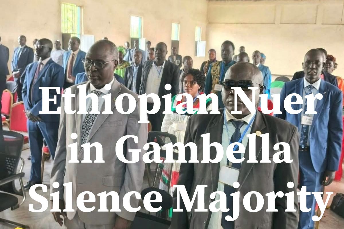 The Silenced Nuer Majority: Gambella Under Anywaa Minority Rule