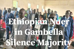 The Silenced Nuer Majority: Gambella Under Anywaa Minority Rule