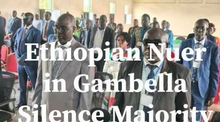 The Silenced Nuer Majority: Gambella Under Anywaa Minority Rule