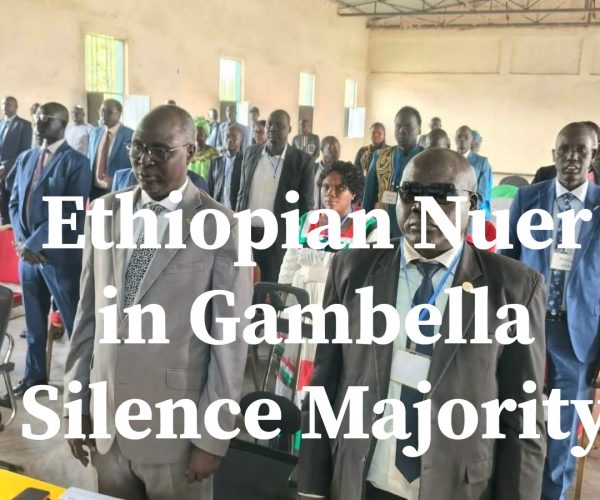 The Silenced Nuer Majority: Gambella Under Anywaa Minority Rule