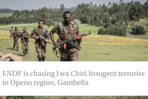 ENDF Engages in Clashes in Pino, Gambella