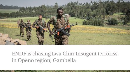 ENDF Engages in Clashes in Pino, Gambella
