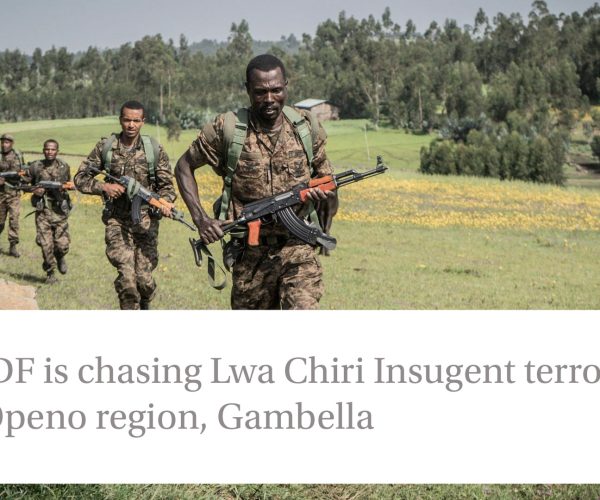 ENDF Engages in Clashes in Pino, Gambella