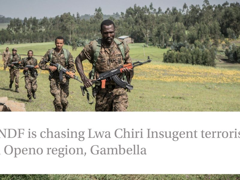 ENDF Engages in Clashes in Pino, Gambella