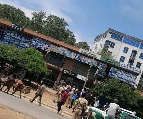 Three Women Killed in Puldeng Attack as Security Failures Continue Under Alemitu Umod Administration