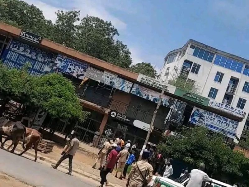Three Women Killed in Puldeng Attack as Security Failures Continue Under Alemitu Umod Administration
