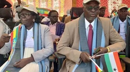 As Gambella Awaits New Leadership Decisions, Citizens Demand Accountability for Development and Security Challenges: