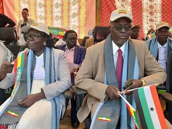 As Gambella Awaits New Leadership Decisions, Citizens Demand Accountability for Development and Security Challenges: