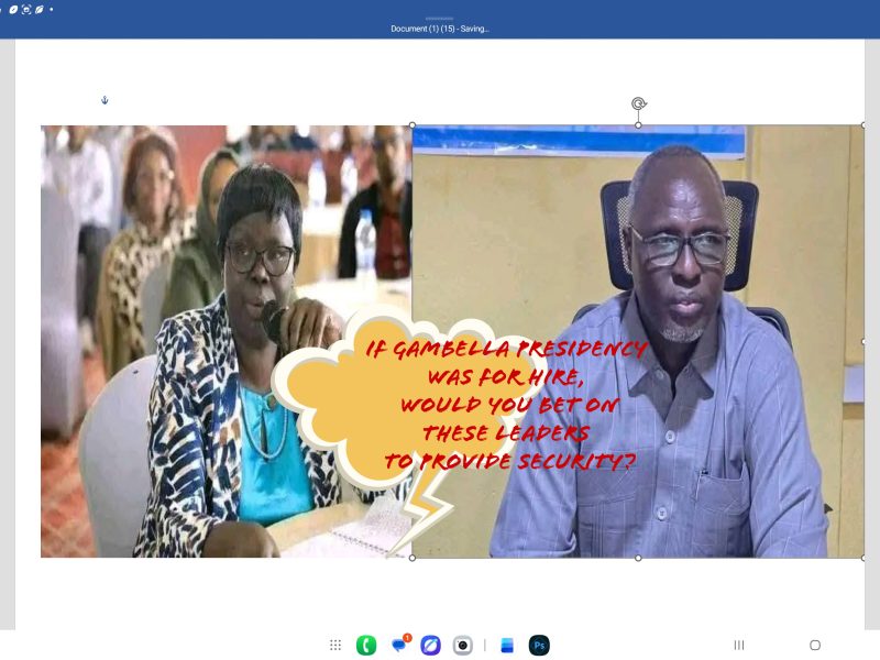 If Gambella Presidency was a job for hire, none of these current leaders would qualify for it.