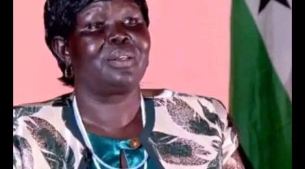 It Is Time to Replace Divisive Leadership in Gambella