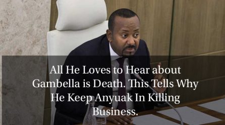 Gambella has witnessed more bloodshed under Prime Minister Abiy Ahmed than under any other leader in Ethiopia’s history