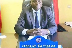 Gambella Regional Council Prepares for Major Assembly as Government Performance Reports, 2019 Fiscal Plans, Budgets and Legislative Proposals Move to the Floor