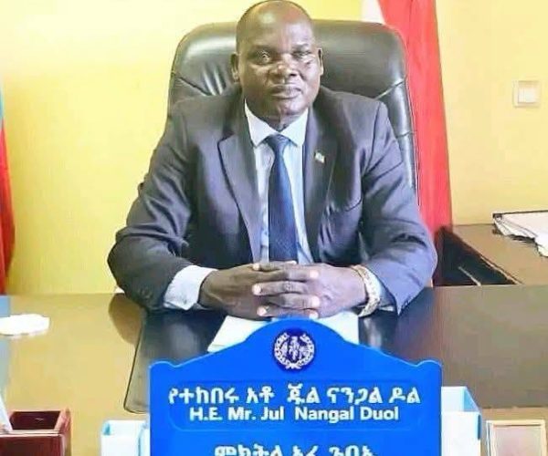 Gambella Regional Council Prepares for Major Assembly as Government Performance Reports, 2019 Fiscal Plans, Budgets and Legislative Proposals Move to the Floor