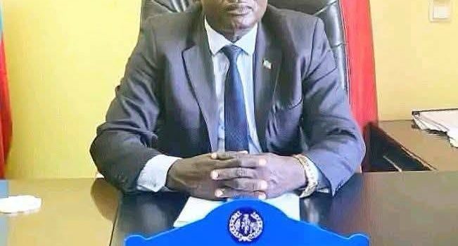 Gambella Regional Council Prepares for Major Assembly as Government Performance Reports, 2019 Fiscal Plans, Budgets and Legislative Proposals Move to the Floor