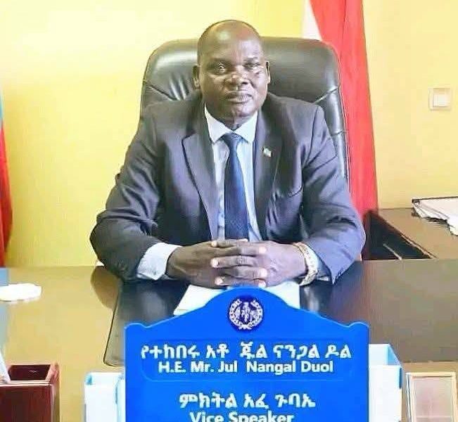 Gambella Regional Council Prepares for Major Assembly as Government Performance Reports, 2019 Fiscal Plans, Budgets and Legislative Proposals Move to the Floor