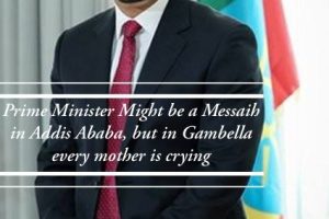 The Prime Minister appeared to be out of touch with the suffering of the people of Gambella