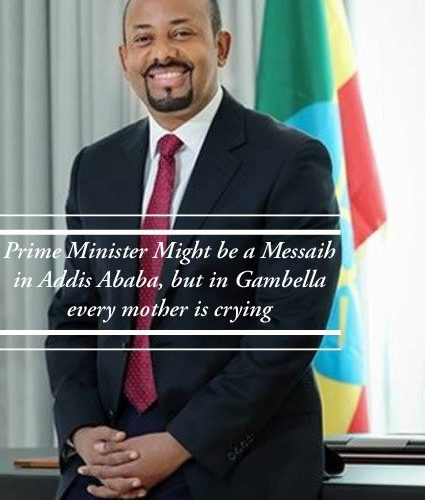 The Prime Minister appeared to be out of touch with the suffering of the people of Gambella