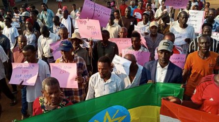 Peaceful Demonstration Underway Across Anywaa zone as Gambella’s Security Crisis Fuels Calls for Unity